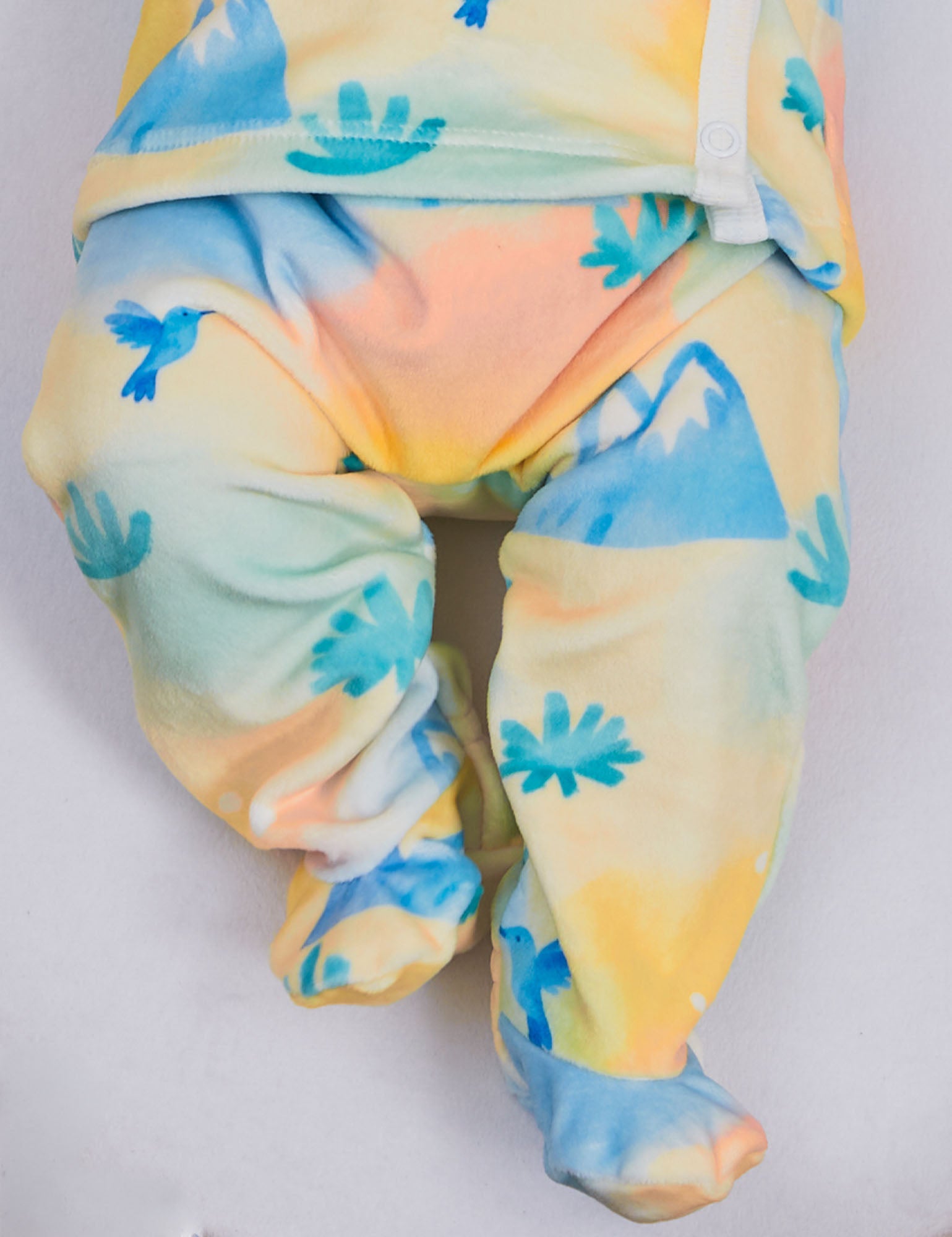 Imagen de diapositiva