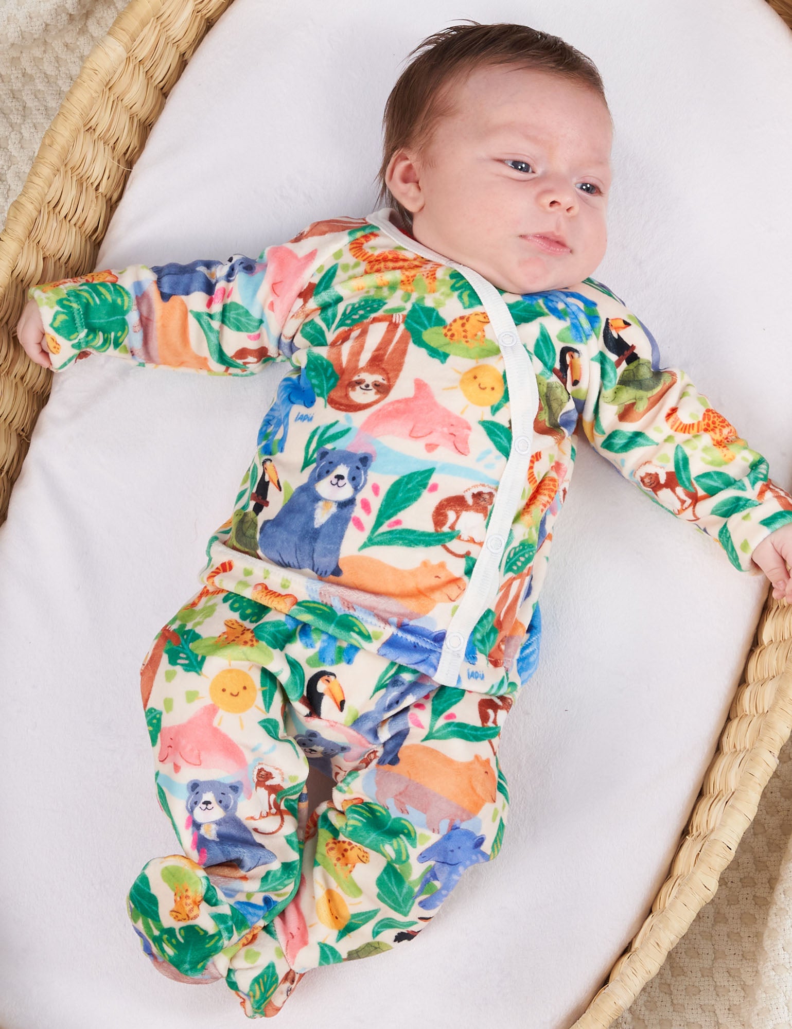 Imagen de diapositiva