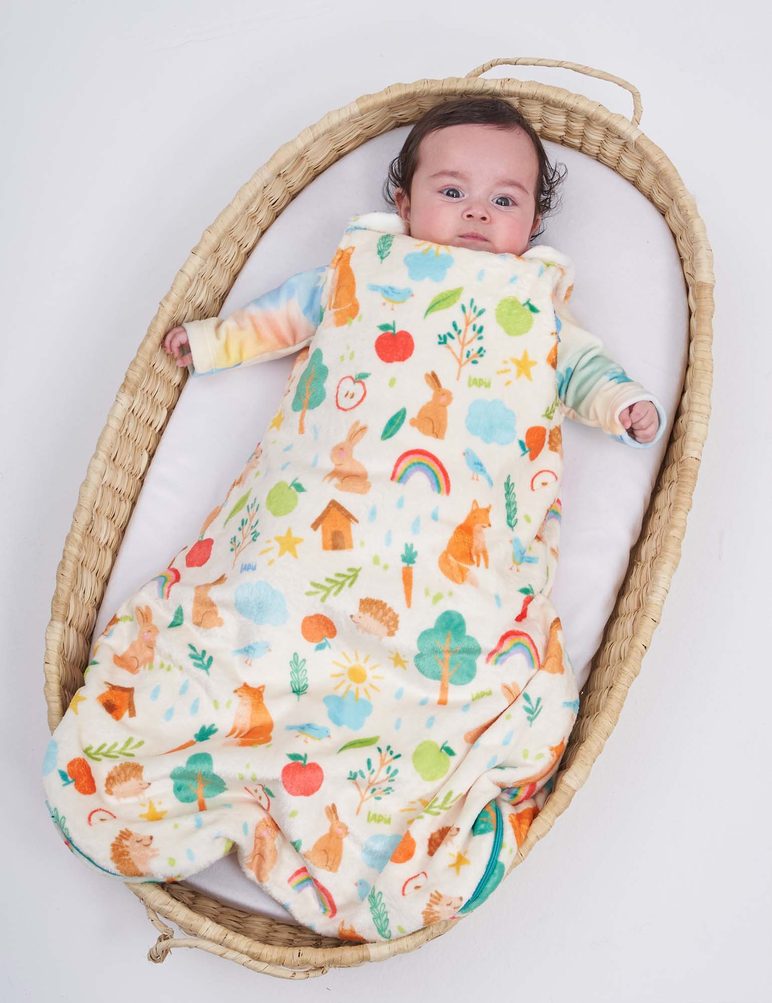 Imagen de diapositiva