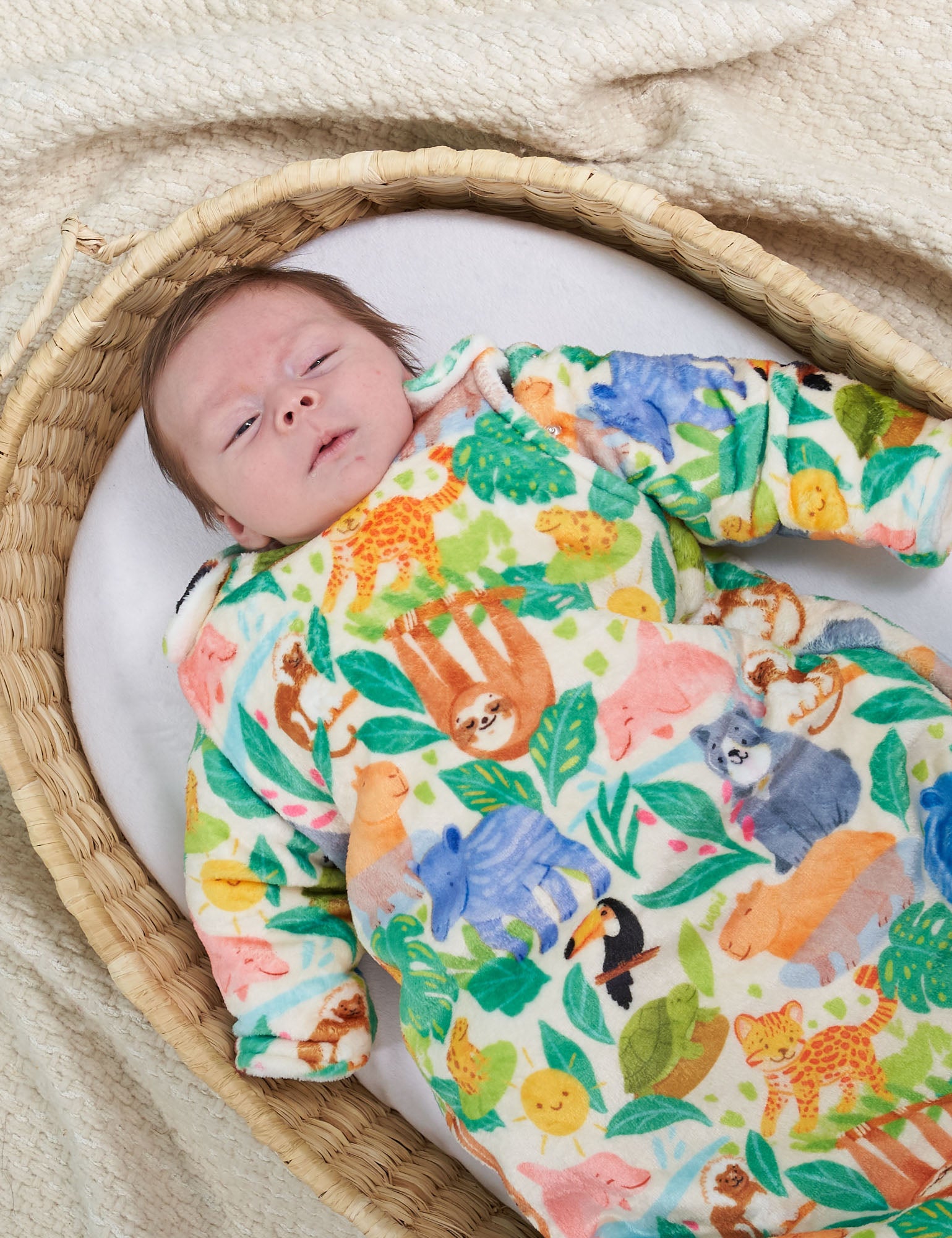 Imagen de diapositiva