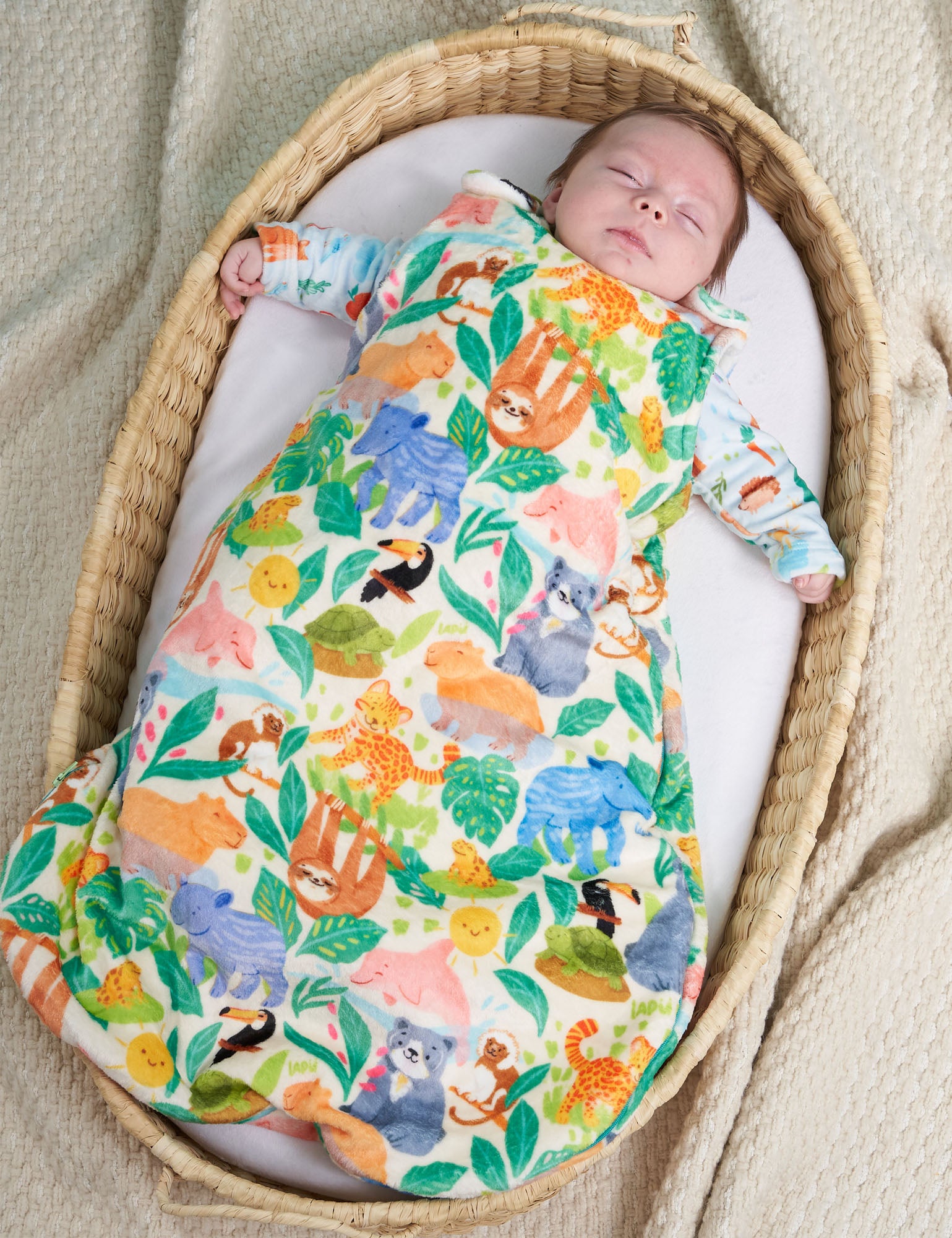 Imagen de diapositiva