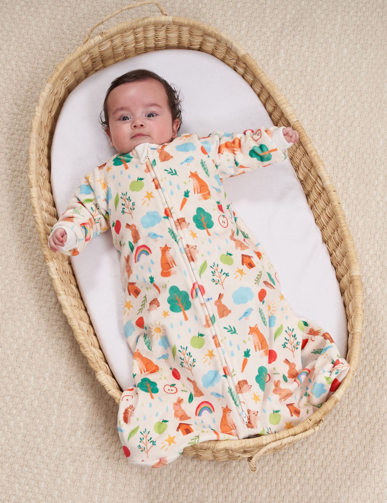 Imagen de diapositiva