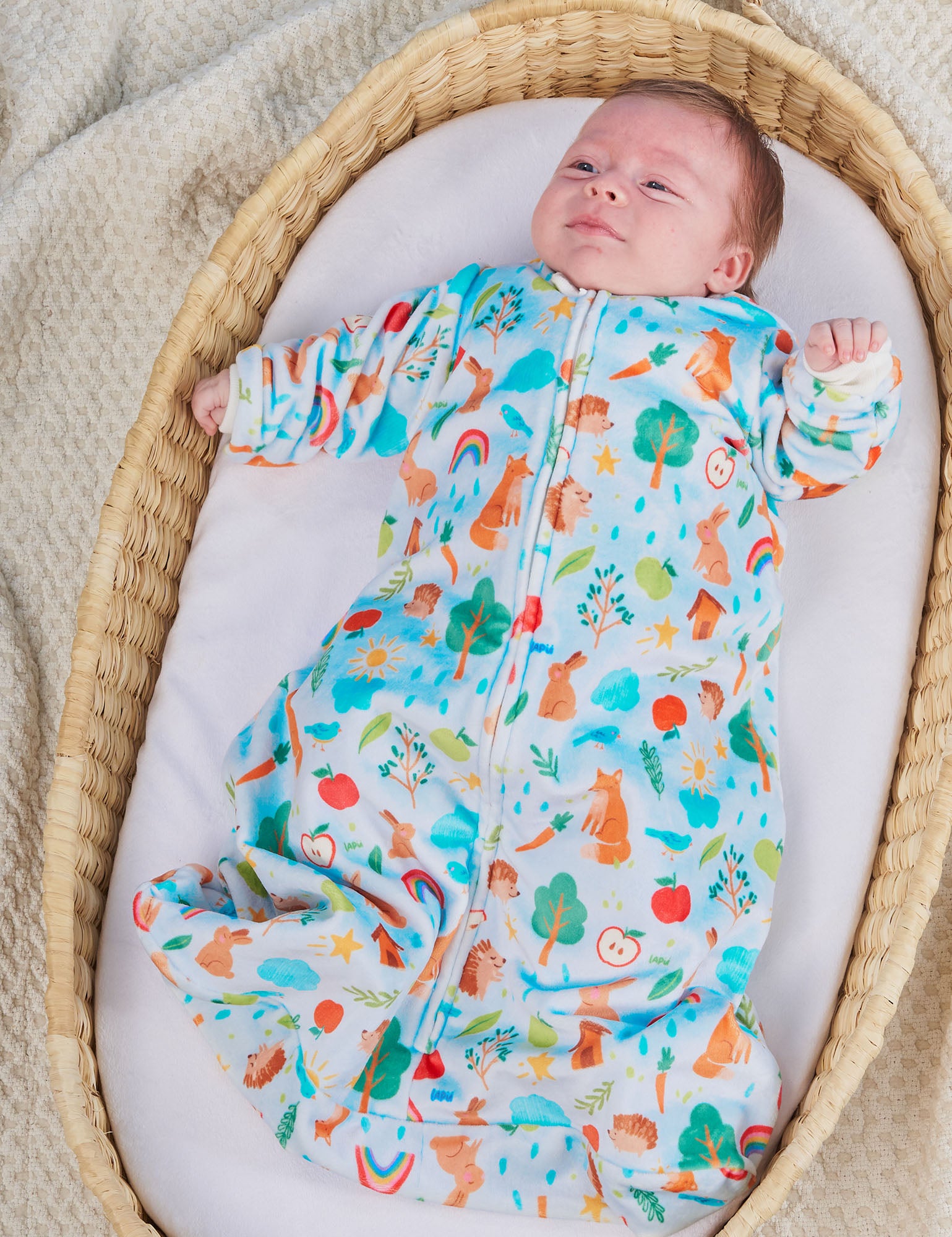 Imagen de diapositiva